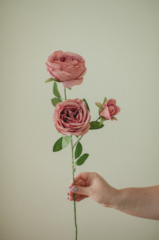 Large Rose Stem