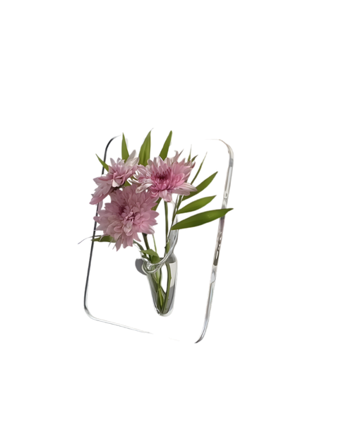 Clear glass vase with pink flowers on a white background