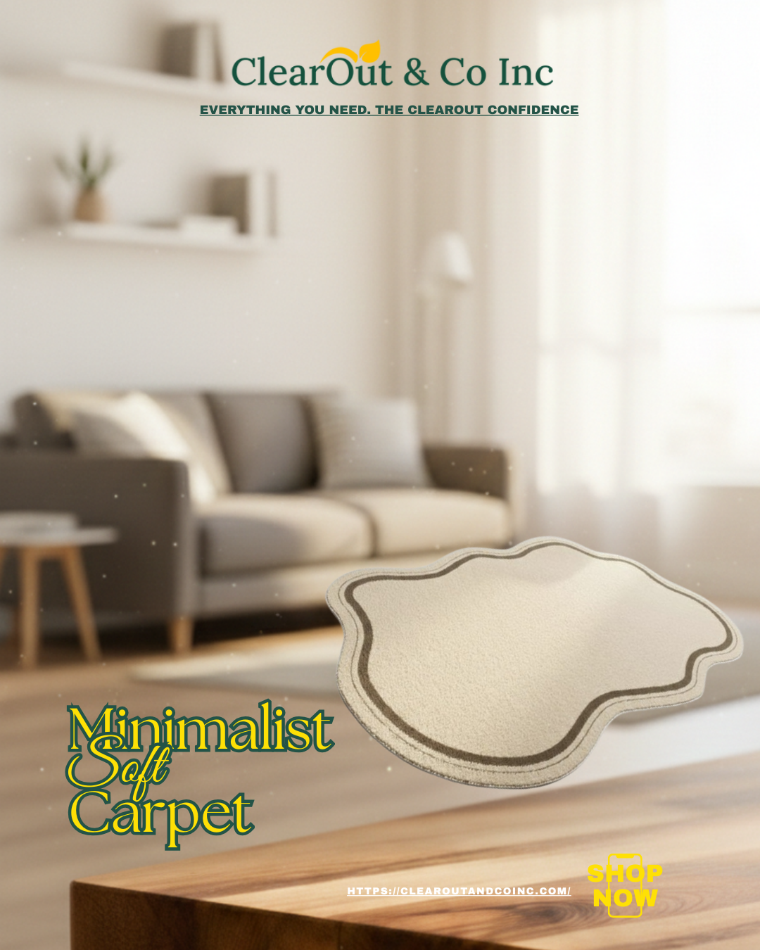 Advertisement for minimalist soft carpet with a living room background and ClearOut & Co Inc branding.